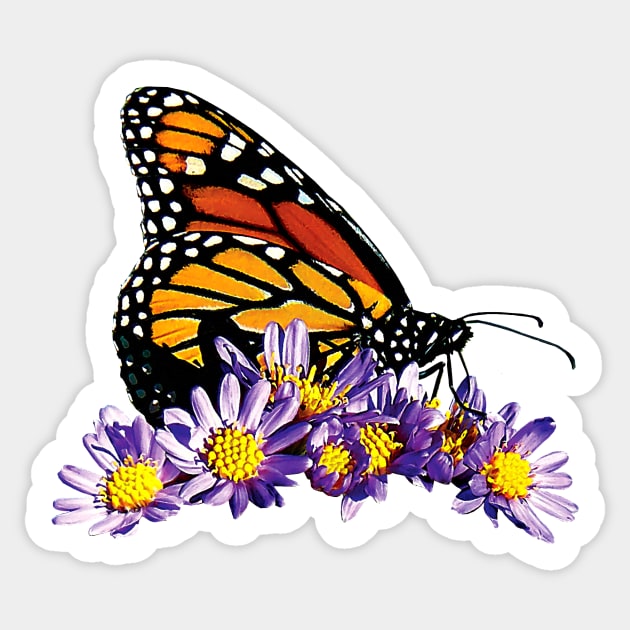 Monarch Butterfly on Purple Asters Sticker by SusanSavad